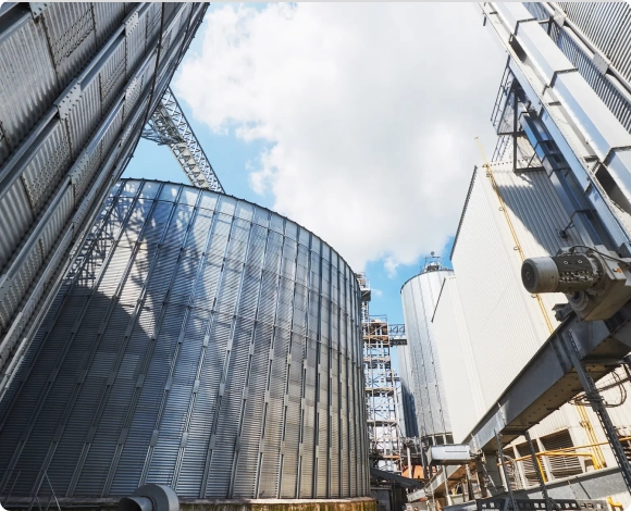 Áreas de Atuação ()